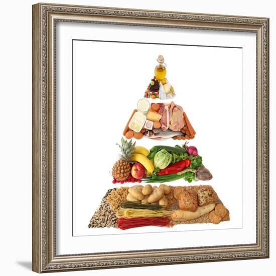 Food Pyramid-egal-Framed Premium Giclee Print