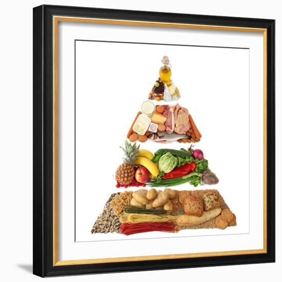 Food Pyramid-egal-Framed Premium Giclee Print