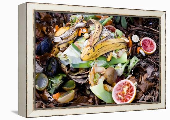 Food Waste on Compost Heap-Mark Williamson-Framed Premier Image Canvas