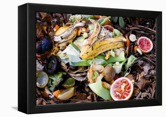 Food Waste on Compost Heap-Mark Williamson-Framed Premier Image Canvas