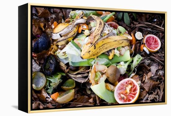 Food Waste on Compost Heap-Mark Williamson-Framed Premier Image Canvas