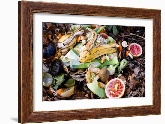 Food Waste on Compost Heap-Mark Williamson-Framed Photographic Print