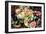 Food Waste on Compost Heap-Mark Williamson-Framed Photographic Print