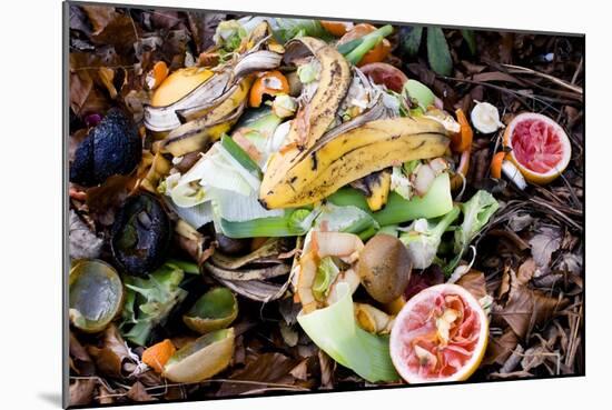 Food Waste on Compost Heap-Mark Williamson-Mounted Photographic Print