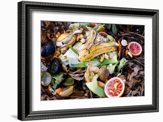 Food Waste on Compost Heap-Mark Williamson-Framed Photographic Print