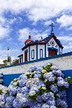 Hydrangea Flowers in Front of the Chapel on Top of Monte Santo at Agua De Pau, Sao Miguel Island, A-foodbytes-Photographic Print
