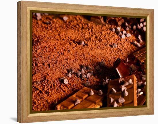 Foods - Desserts - Chocolate-Philippe Hugonnard-Framed Premier Image Canvas