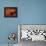 Foods - Desserts - Chocolate-Philippe Hugonnard-Framed Premier Image Canvas displayed on a wall