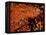 Foods - Desserts - Chocolate-Philippe Hugonnard-Framed Premier Image Canvas