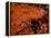 Foods - Desserts - Chocolate-Philippe Hugonnard-Framed Premier Image Canvas