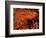 Foods - Desserts - Chocolate-Philippe Hugonnard-Framed Photographic Print