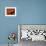 Foods - Desserts - Chocolate-Philippe Hugonnard-Framed Photographic Print displayed on a wall