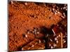 Foods - Desserts - Chocolate-Philippe Hugonnard-Mounted Photographic Print