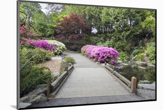 Foot Bridge across Waterfall Pond-jpldesigns-Mounted Photographic Print