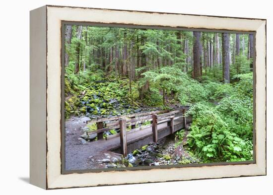 Foot Bridge, Trail to Sol Duc Falls, Rain Forest, Olympic National Park, UNESCO World Heritage Site-Richard Maschmeyer-Framed Premier Image Canvas