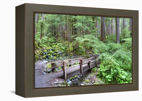 Foot Bridge, Trail to Sol Duc Falls, Rain Forest, Olympic National Park, UNESCO World Heritage Site-Richard Maschmeyer-Framed Premier Image Canvas