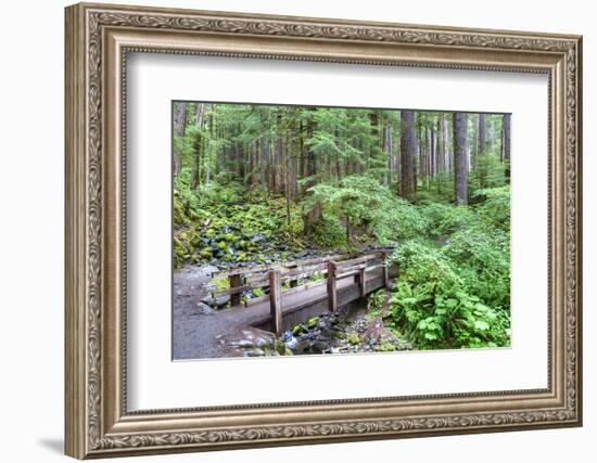 Foot Bridge, Trail to Sol Duc Falls, Rain Forest, Olympic National Park, UNESCO World Heritage Site-Richard Maschmeyer-Framed Photographic Print