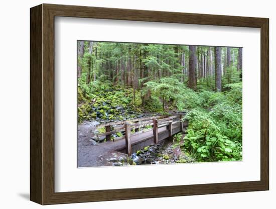 Foot Bridge, Trail to Sol Duc Falls, Rain Forest, Olympic National Park, UNESCO World Heritage Site-Richard Maschmeyer-Framed Photographic Print