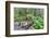 Foot Bridge, Trail to Sol Duc Falls, Rain Forest, Olympic National Park, UNESCO World Heritage Site-Richard Maschmeyer-Framed Photographic Print