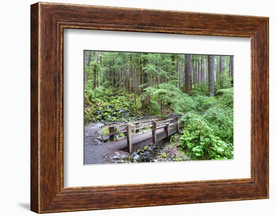 Foot Bridge, Trail to Sol Duc Falls, Rain Forest, Olympic National Park, UNESCO World Heritage Site-Richard Maschmeyer-Framed Photographic Print