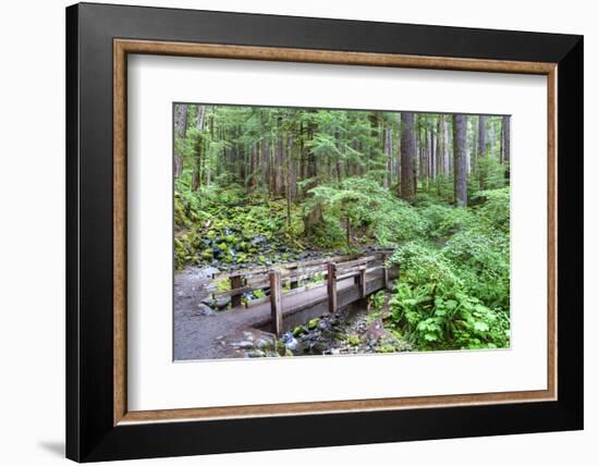 Foot Bridge, Trail to Sol Duc Falls, Rain Forest, Olympic National Park, UNESCO World Heritage Site-Richard Maschmeyer-Framed Photographic Print