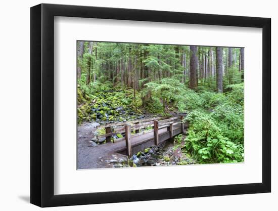 Foot Bridge, Trail to Sol Duc Falls, Rain Forest, Olympic National Park, UNESCO World Heritage Site-Richard Maschmeyer-Framed Photographic Print