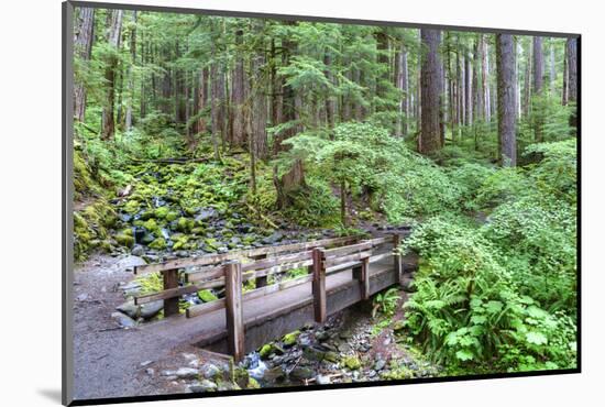 Foot Bridge, Trail to Sol Duc Falls, Rain Forest, Olympic National Park, UNESCO World Heritage Site-Richard Maschmeyer-Mounted Photographic Print