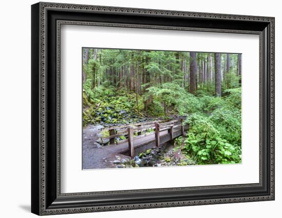 Foot Bridge, Trail to Sol Duc Falls, Rain Forest, Olympic National Park, UNESCO World Heritage Site-Richard Maschmeyer-Framed Photographic Print