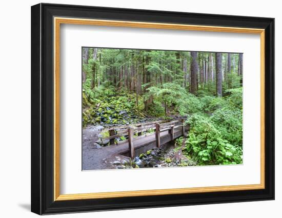 Foot Bridge, Trail to Sol Duc Falls, Rain Forest, Olympic National Park, UNESCO World Heritage Site-Richard Maschmeyer-Framed Photographic Print