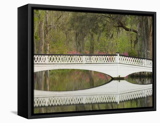 Foot Bridge with Azaleas and Spanish Moss, Magnolia Plantation, Charleston, South Carolina, USA-Corey Hilz-Framed Premier Image Canvas