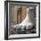 Foot from a colossal Roman statue, 3rd century BC. Artist: Unknown-Unknown-Framed Giclee Print