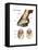 Foot or Hoof of a Horse. Mammal, Biology-Encyclopaedia Britannica-Framed Stretched Canvas