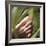 Foot-Cristina-Framed Premium Photographic Print