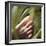 Foot-Cristina-Framed Premium Photographic Print