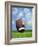 Football and field goal-Gaetano-Framed Photographic Print