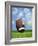 Football and field goal-Gaetano-Framed Photographic Print