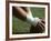 Football Center About to Snap the Ball-Paul Sutton-Framed Photographic Print