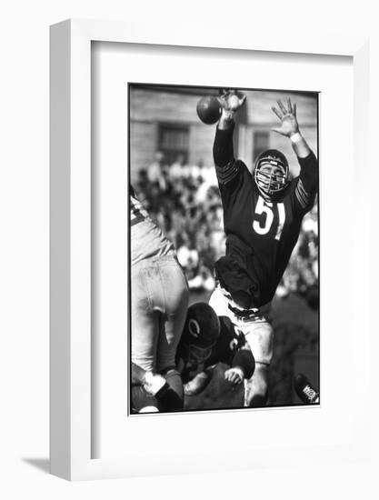 Football: Chicago Bears Dick Butkus No.51 in Action, Blocking Passing Attempt Vs La Rams-Bill Eppridge-Framed Photographic Print