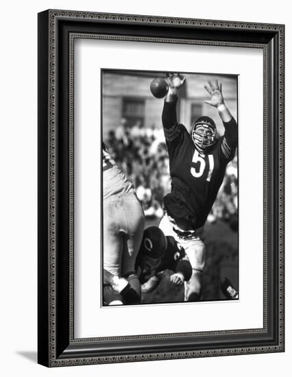 Football: Chicago Bears Dick Butkus No.51 in Action, Blocking Passing Attempt Vs La Rams-Bill Eppridge-Framed Photographic Print