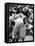Football: Chicago Bears Dick Butkus No.51 in Action Vs Detroit Lions-Bill Eppridge-Framed Premier Image Canvas