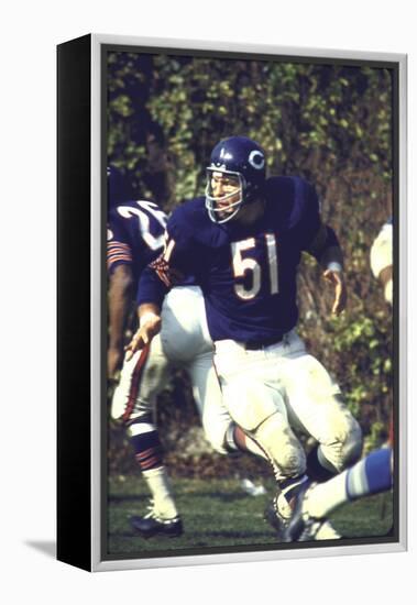 Football: Chicago Bears Dick Butkus No.51 in Action Vs Detroit Lions-null-Framed Premier Image Canvas