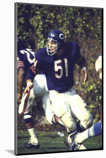 Football: Chicago Bears Dick Butkus No.51 in Action Vs Detroit Lions-null-Mounted Photographic Print