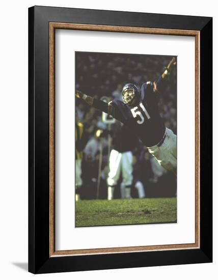 Football: Chicago Bears Dick Butkus No.51 in Action Vs Detroit Lions-Bill Eppridge-Framed Photographic Print