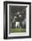 Football: Chicago Bears Dick Butkus No.51 in Action Vs Detroit Lions-Bill Eppridge-Framed Photographic Print
