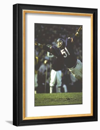 Football: Chicago Bears Dick Butkus No.51 in Action Vs Detroit Lions-Bill Eppridge-Framed Photographic Print