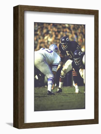 Football: Chicago Bears Dick Butkus No.51At Line of Scrimmage During Game Vs Detroit Lions-null-Framed Photographic Print