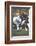 Football: Chicago Bears Dick Butkus No.51At Line of Scrimmage During Game Vs Detroit Lions-null-Framed Photographic Print