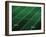 Football Field-Doug Wilson-Framed Photographic Print