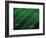 Football Field-Doug Wilson-Framed Photographic Print