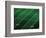 Football Field-Doug Wilson-Framed Photographic Print